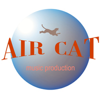 Funky Groovin 70s - Air Cat 