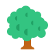 deciduous tree icon